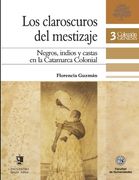 Los claroscuros del mestizaje: Negros, indios y castas en la Catamarca Colonial
