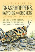 field guide to grasshoppers, katydids, and crickets of the united states (en Inglés)