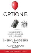 Option b: Facing Adversity, Building Resilience, and Finding joy (en Inglés)
