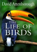 The Life of Birds 