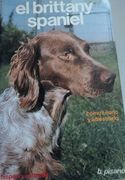 el brittany spaniel -desc-
