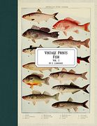 Vintage Prints: Fish: Vol. 1 (en Inglés)