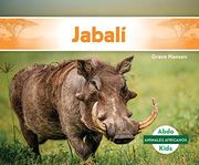 Jabalí / Wild Pig