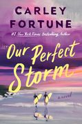 Our Perfect Storm (en Inglés)
