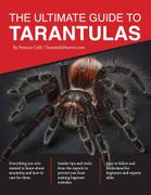 The Ultimate Tarantulas Keeper's Handbook: Experts Secrets to Housing, Feeding, Handling, & Understanding Your Pet Tarantulas - A Complete Guide for B