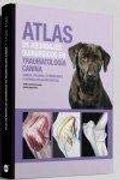 Atlas de Abordajes Quirúrgicos en Traumatología Canina