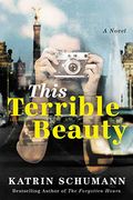 This Terrible Beauty: A Novel 