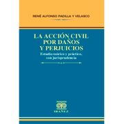 LA ACCIÓN CIVIL POR DAÑOS Y PERJUICIOS