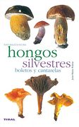Hongos Silvestres. Boletos y Cantarelas