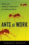 ants at work,how an insect society is organized (en Inglés)