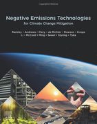 Negative Emissions Technologies for Climate Change Mitigation (en Inglés)