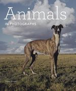Animals in Photographs (en Inglés)