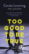 Too Good to be True: A Novel 