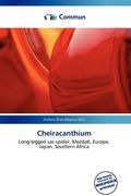 cheiracanthium (en Inglés)