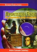 Hipercultura visual. El reto hipermedia en el arte y la educación (Estudios Complutenses) (in Spanish)