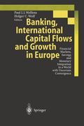 Banking, International Capital Flows and Growth in Europe(Springer Verlag Gmbh)