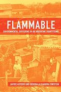 Flammable: Environmental Suffering in an Argentine Shantytown 