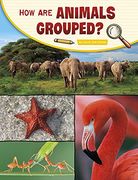 How are Animals Grouped? (Science Inquiry) (en Inglés)