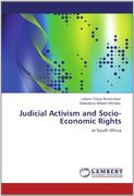 judicial activism and socio-economic rights