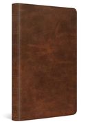 Esv Thinline Bible (Full Grain Leather, Deep Brown)
