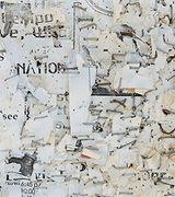 Mitch Epstein: Property Rights (en Inglés)