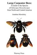 Large Carpenter Bees: A Guide to Species of Xylocopa (Neoxylocopa) from North and Central America (en Inglés)