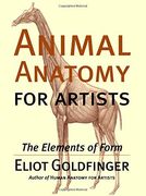 animal anatomy for artists,the elements of form