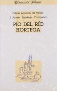 Pio del Rio Hortega (Coleccion Villalar) (Spanish Edition)