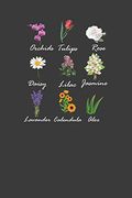 Orchids Tulips Rose Daisy Lilac Jasmine Lavender Calendula Aloe: Vintage Botanical Flowers Gardener Gift (en Inglés)