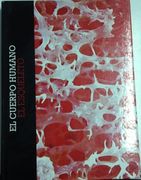 Cuerpo Humano - el: El Esqueleto