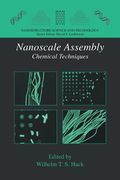 Nanoscale Assembly: Chemical Techniques (en Inglés)