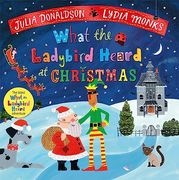 What the Ladybird Heard at Christmas 