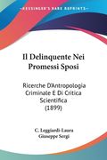Il Delinquente Nei Promessi Sposi: Ricerche D'Antropologia Criminale E Di Critica Scientifica (1899) (en Italiano)