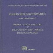 derecho societario nº13 res.pcial.td