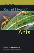 Secret Lives of Ants (en Inglés)