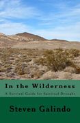 In the Wilderness: A Survival Guide for Spiritual Drought (en Inglés)