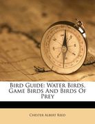 bird guide: water birds, game birds and birds of prey