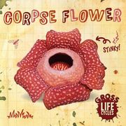 Forces (Hardback)