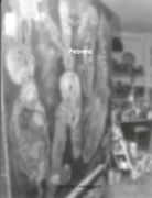 Febrero: imagenes cautivas (catalogo)