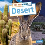 Day and Night in the Desert (en Inglés)