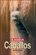 Mil imágenes de caballos