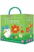 Q-BOX - LAS FLORES