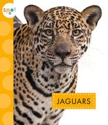 Jaguars (en Inglés)