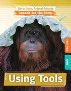 Using Tools (en Inglés)