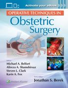 Operative Techniques in Obstetric Surgery (en Inglés)