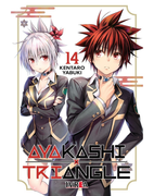 Ayakashi Triangle 14