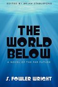 the world below: a novel of the far future
