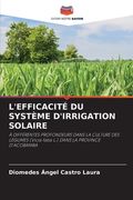 L'Efficacité Du Système d'Irrigation Solaire (en Francés)