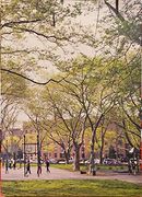 Ari Marcopoulos - Entropy