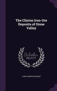 The Clinton Iron-Ore Deposits of Stone Valley (en Inglés)